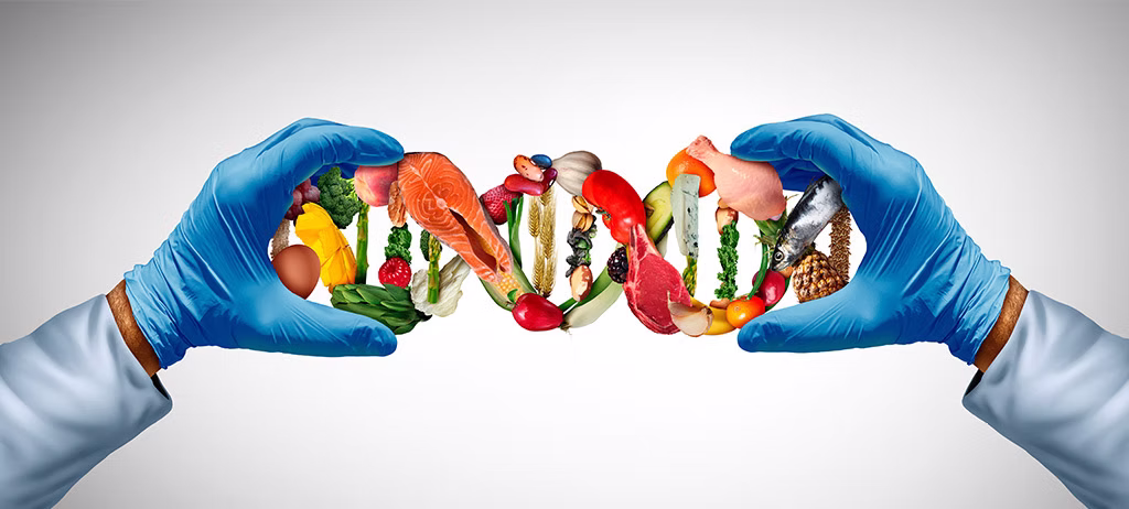 04c766_cadb4a10e5184ccdac2ae69ce40102ce~mv2